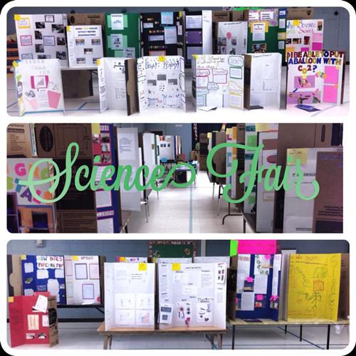 Science Fair 2014 